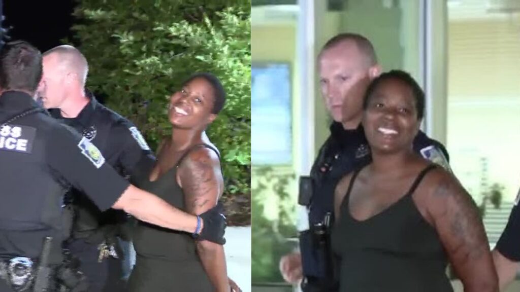 Ohio Mother Arrested in Pennsylvania after Amber Alert; Kidnapped and Posted Abuse Videos Online (1)