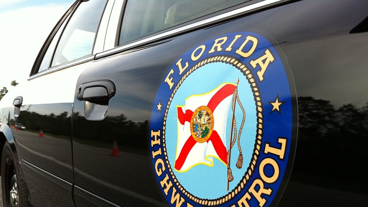 Palm Coast Man Killed in Chain-Reaction Crash after Striking Deer on State Road