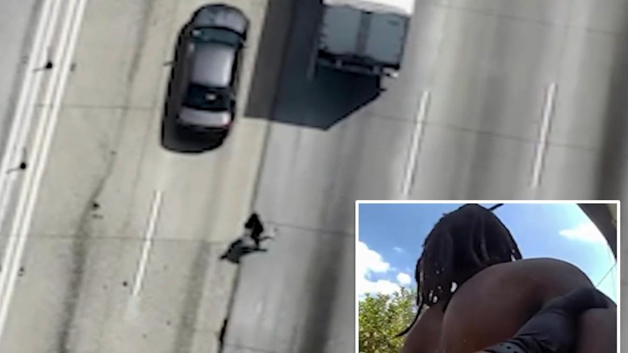 Suspect Plays Real-Life ‘Frogger’ on Los Angeles Freeway Before Arrest; Cops Used Drones to Locate and Nab the Suspect