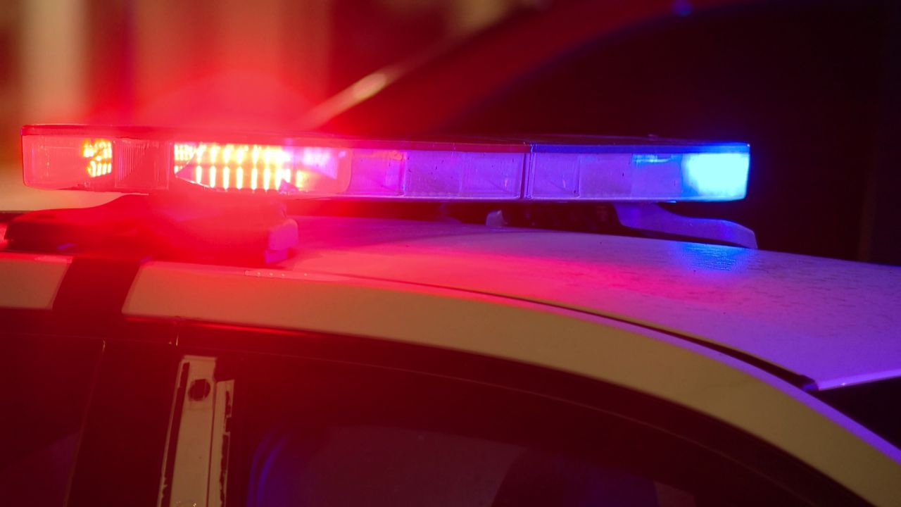 Teen Shot Dog and Other Teen; Arrested after Wild Chase and Foot Pursuit in South Bend