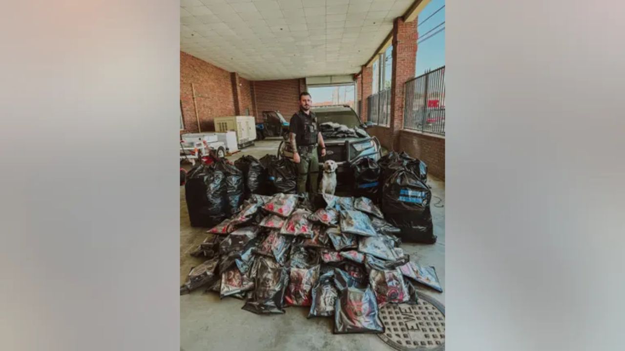 Tifton Police Seize 464 Pounds of Marijuana on Interstate 75; No Arrest Reported (1)