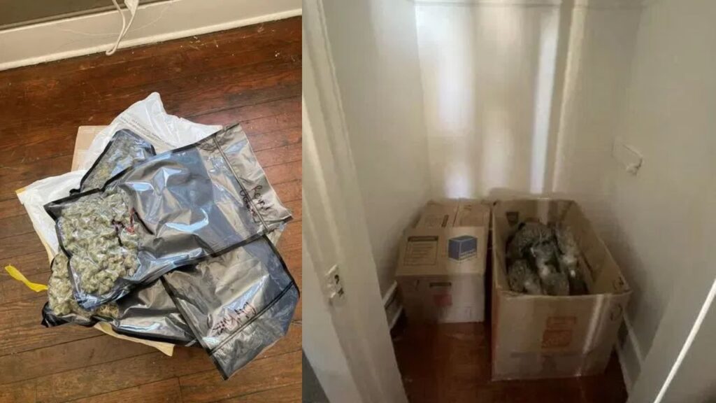 Trash Bag Drop Leads Deputies to $184K Drug Bust in San Antonio; 1 in Custody (1)