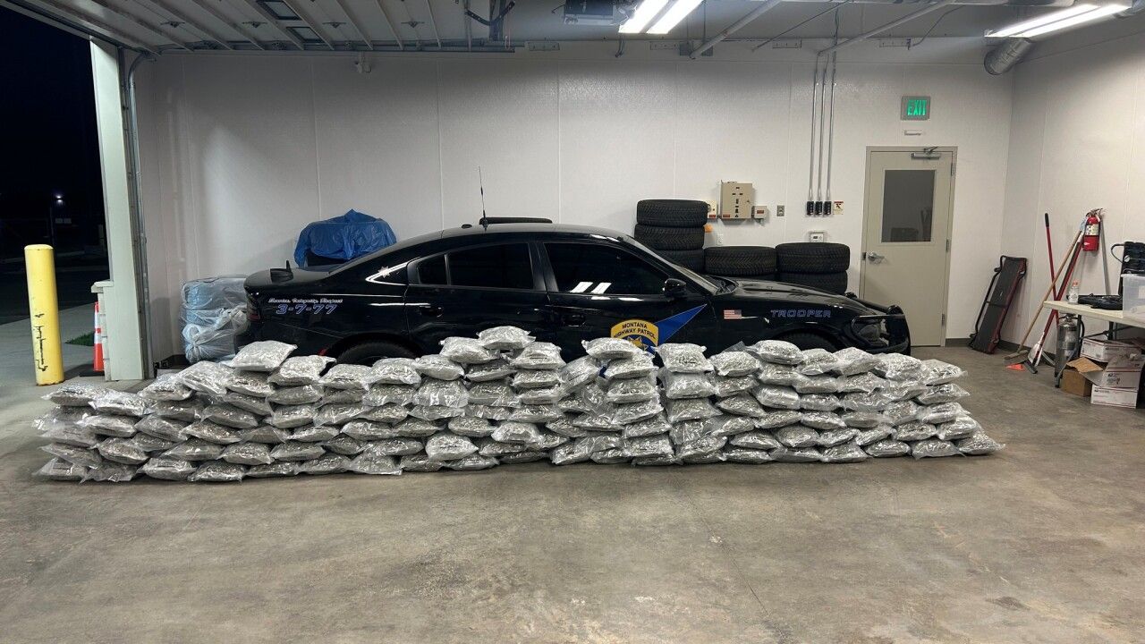 39 Arrested in Major Butte Drug Bust; 260 Pounds of Marijuana and $75,000 Seized (1)