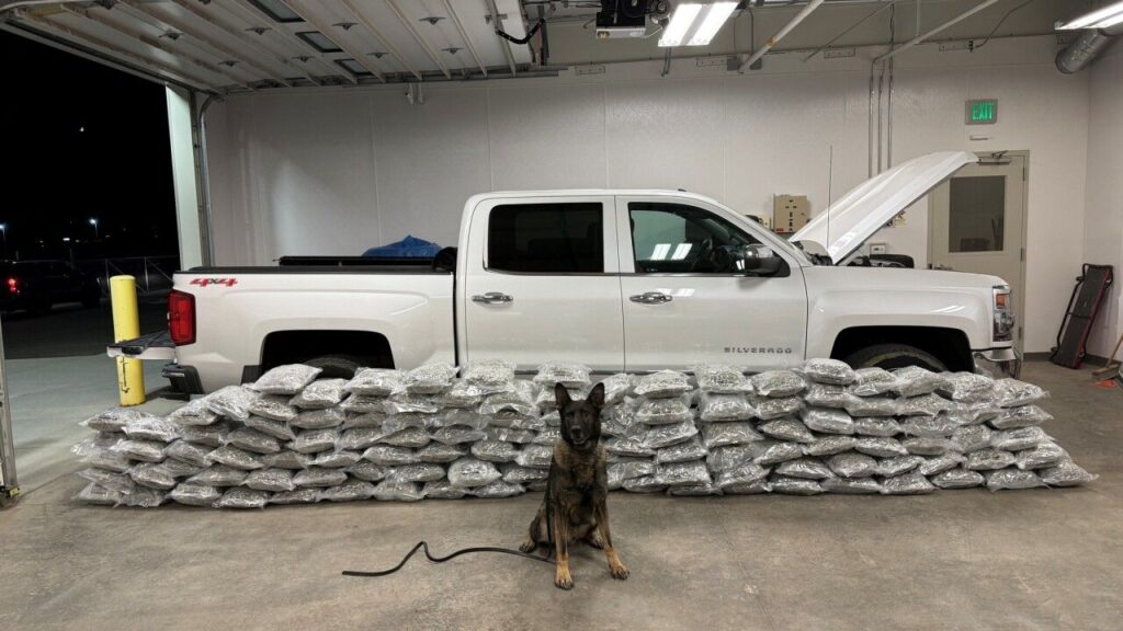 39 Arrested in Major Butte Drug Bust; 260 Pounds of Marijuana and $75,000 Seized