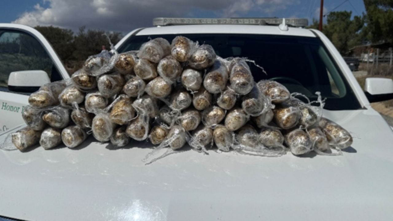 CBP Finds 52 Pounds of Meth in Southern California Smuggling Attempt