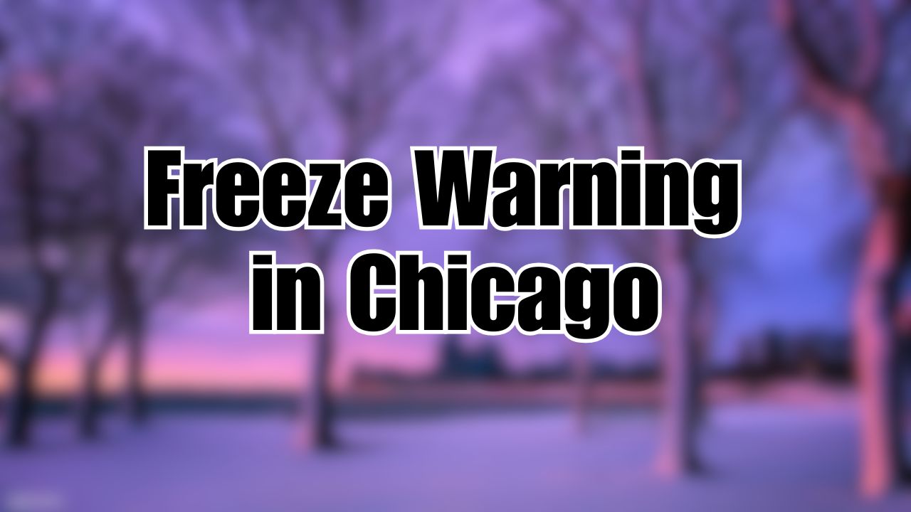 Chicago Braces for Plummeting Temperatures, Freeze Warning in Effect