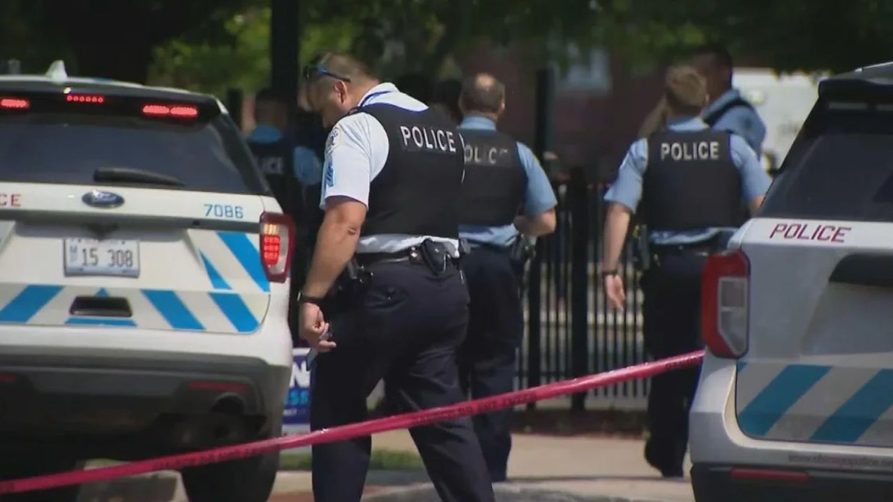 Chicago Officer Allegedly Hit During Crowd Control; Suspect Taken into Custody