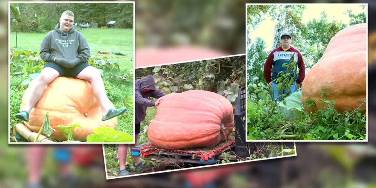 Green Lake County Teen Brothers Grow 838-Pound Pumpkin, Aim for 1,000 Next Year