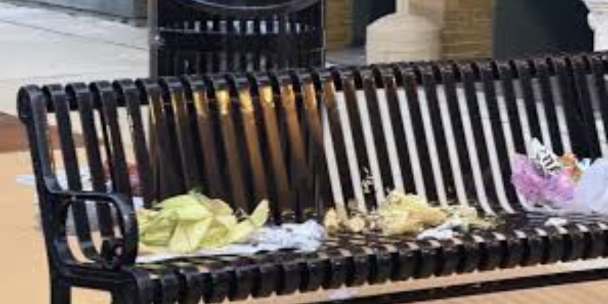 Janesville Removes Park Benches After Ongoing Disruptive Behavior