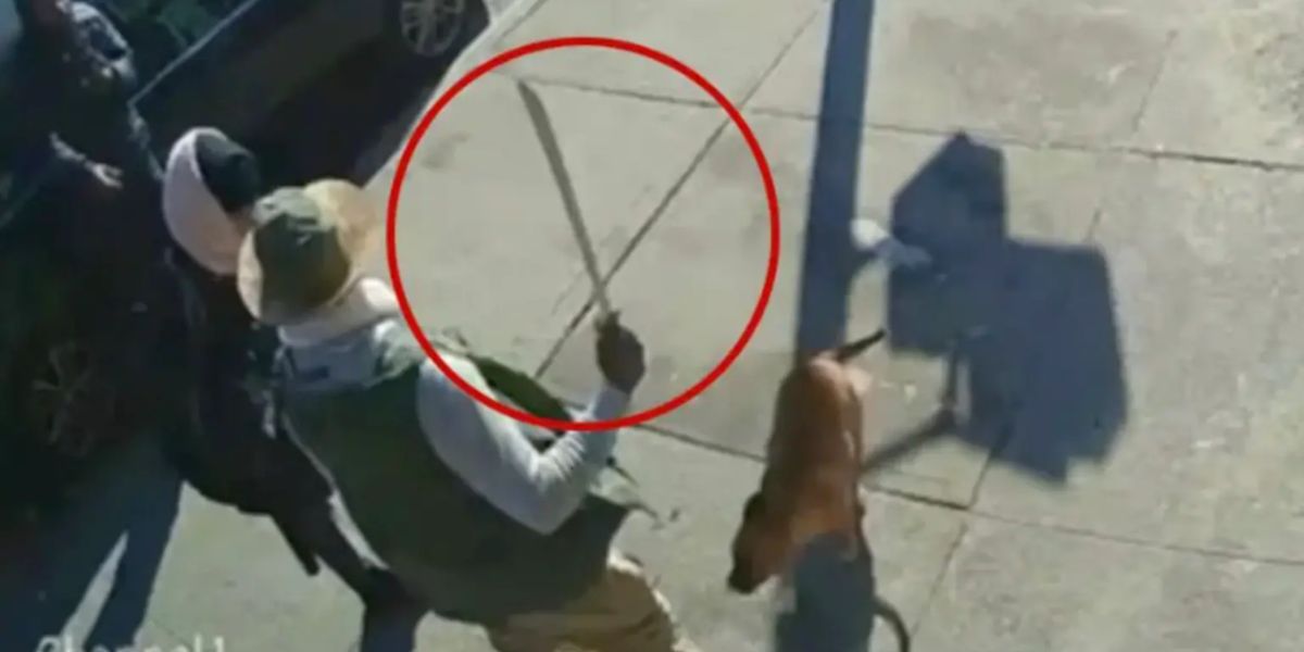 Machete Attacker with 45 Prior Arrests Charged in Fatal Queens Hit-and-Run