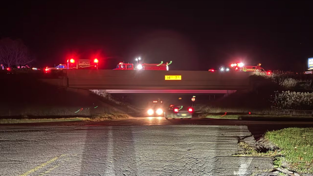 Man Killed on I-69 After Truck Swerves to Avoid Car That Hit Deer in Shiawassee County