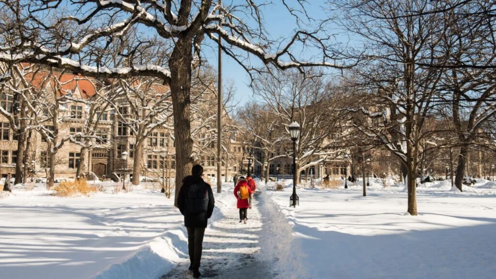 Record-Warm North Pacific Could Trigger Snowy Winter for Chicago Residents (1)