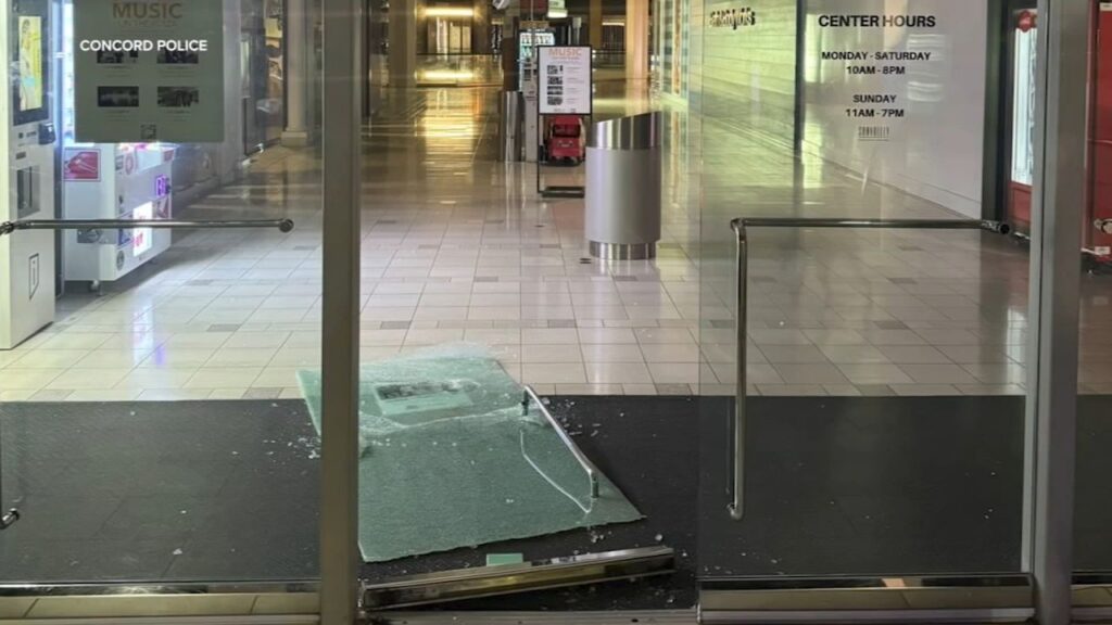 Seven Teens Arrested After Smash-and-Grab Burglary at Concord Mall; Facing Charges