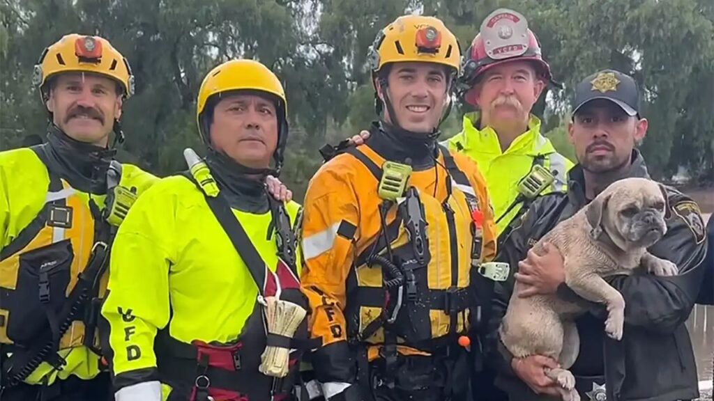 Small Dog Rescued from Rising Floodwaters in Oxnard Wash by Ventura County Firefighters; Adorable Photos went Viral (1)