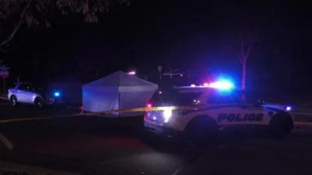 3 Dead, One Critically Injured in Madison Rollover Crash; Speed and Impairment Suspected (1)