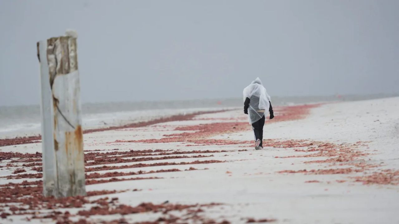 Arctic Blast Hits Central Florida Temperatures Plunge Below Seasonal Norms