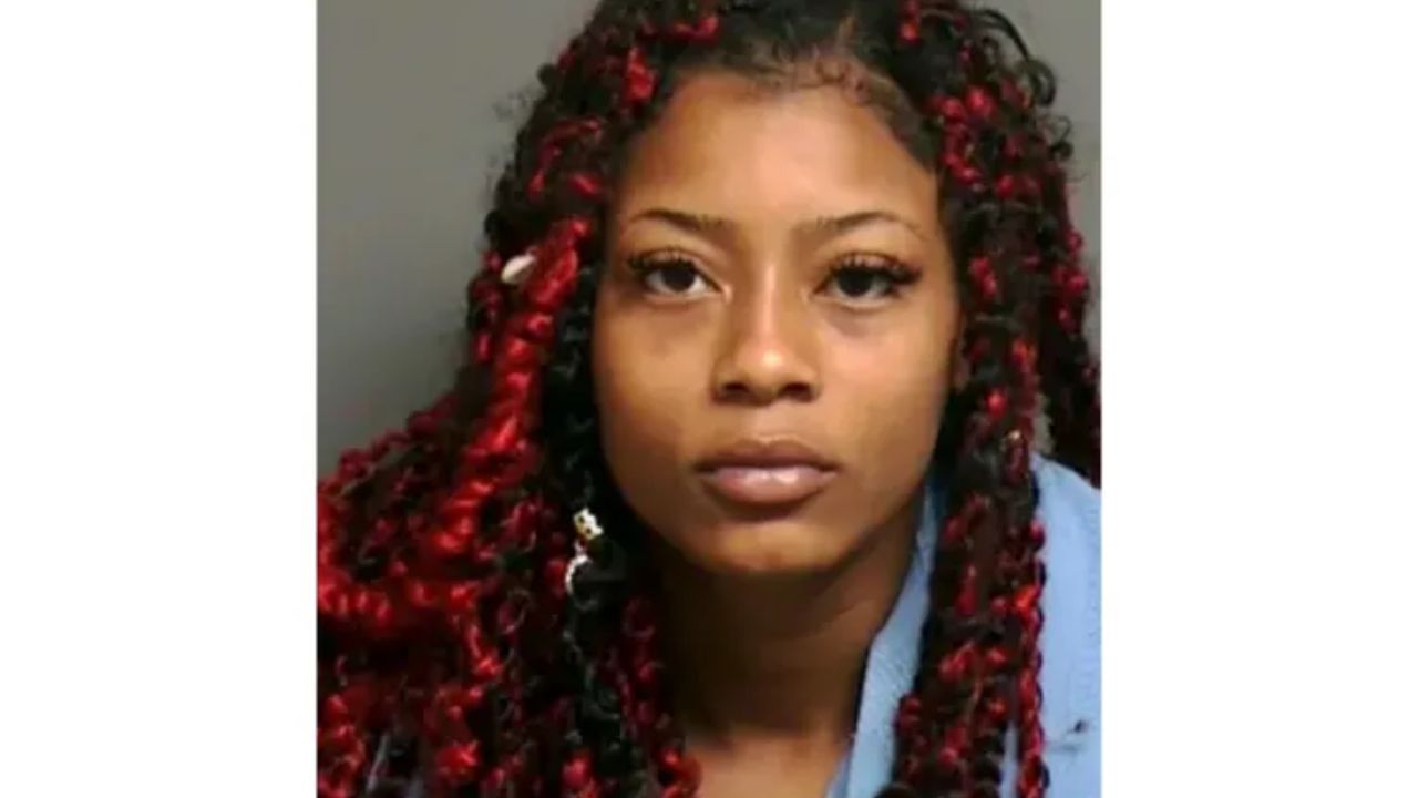 Court Holds Babysitter Fully Accountable after Death of 22-Month-Old in Michigan; Woman Sentenced to Life in Prison