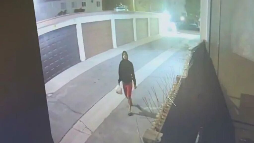 Disturbing Video Shows Woman Throwing Injured Dog Over Fence in Early-Morning Incident in Anaheim (1)