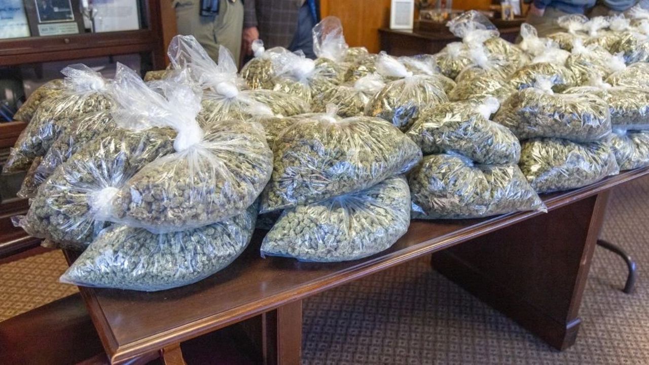 Gadsden Officers Seize $100K Worth of Marijuana after Citizen Tip about Strong Marijuana Odor (1)