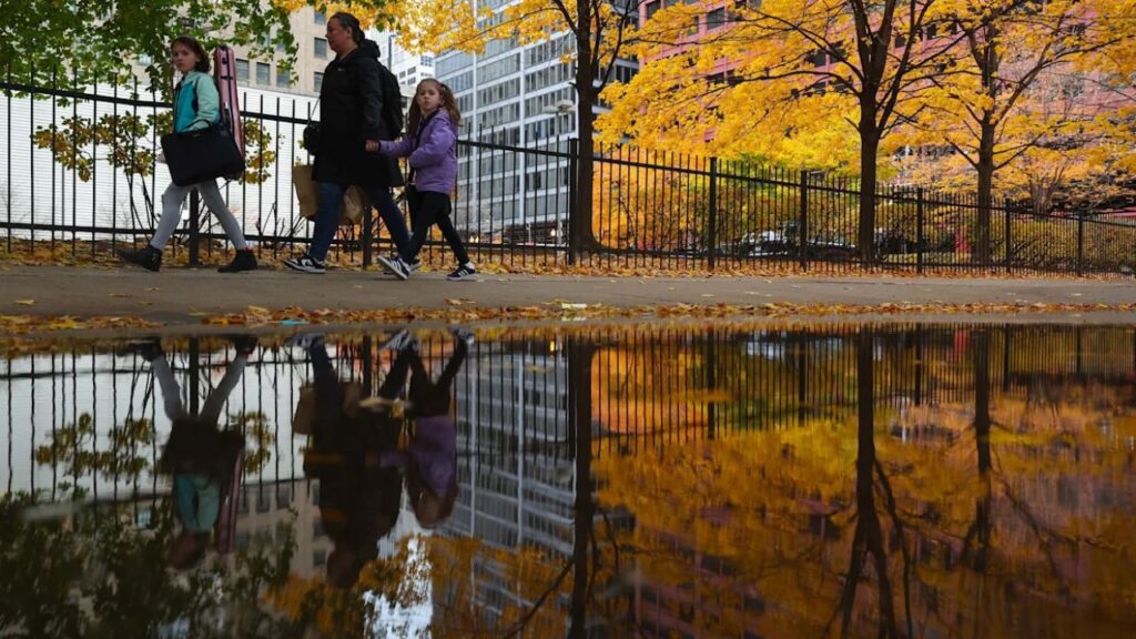 Illinois Braces for Thanksgiving Chaos Midwest Storm Could Bring Snow, Rain, and Airport Delays