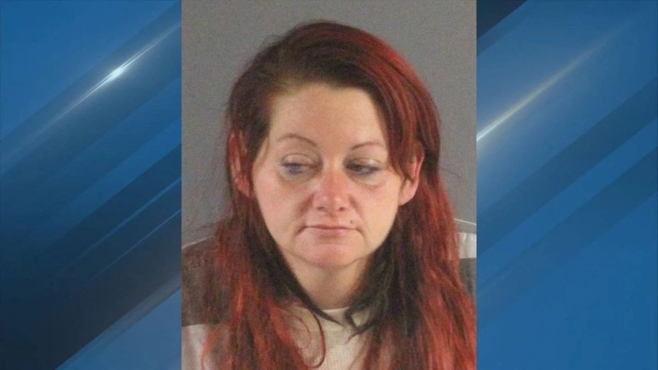 Maryland Woman Accused of Running Daily Shoplifting Operation Across Harford County, Officials Say