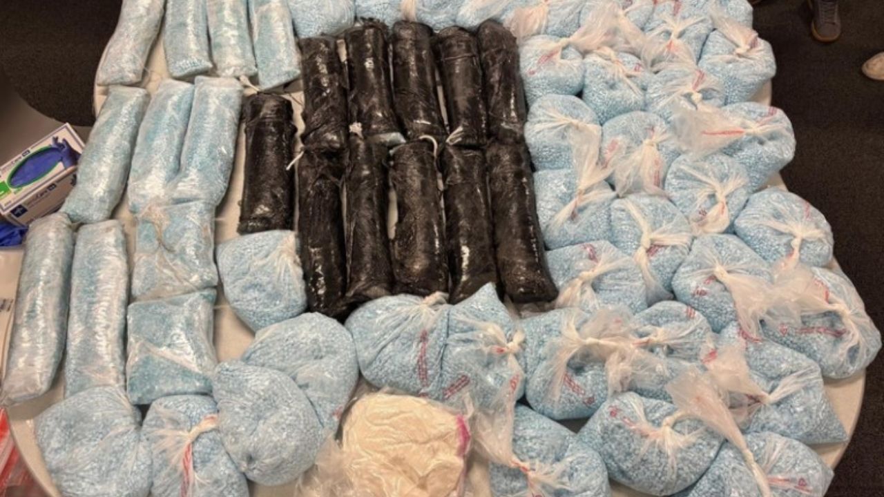 Massive Cache of Elephant-Grade Drug Discovered in Major Los Angeles County DEA Bust; 680K Carfentanil Pills Seized