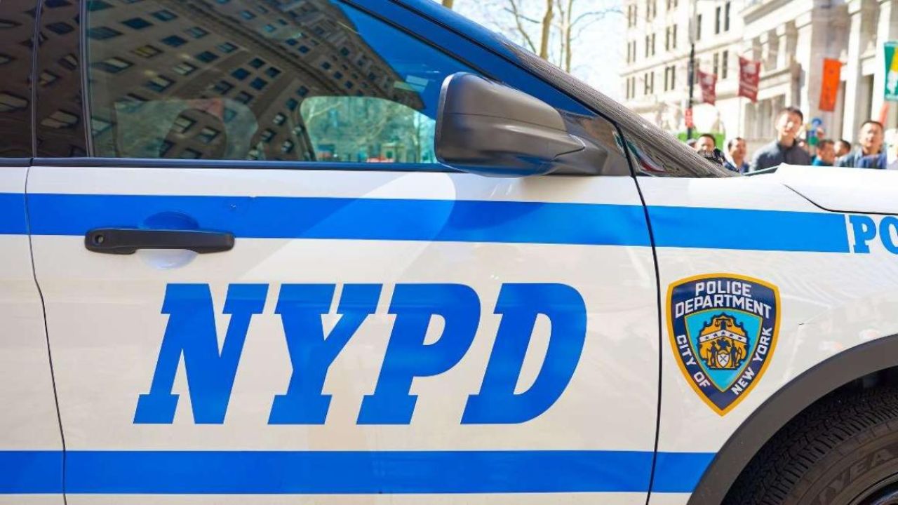 NYPD Uncovers 600+ Pounds of Cannabis During Kidnapping Probe in Brooklyn