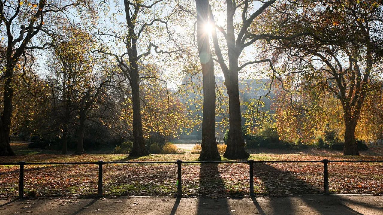 San Diego’s Thanksgiving Forecast Warm Coastal Temps and Hot Inland Conditions Before Storm Moves In
