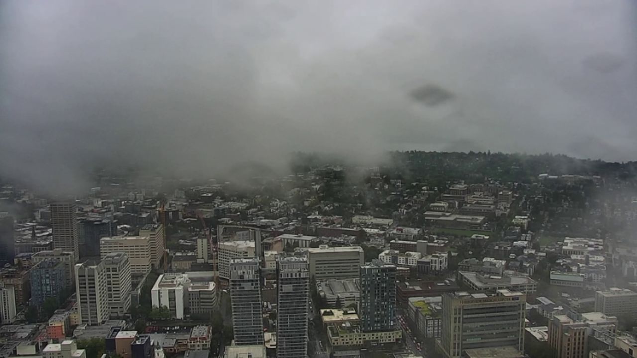 Seattle and Puget Sound Face Hazardous Driving Conditions Amid Stormy Weather; Rain with Gusty Winds Expected