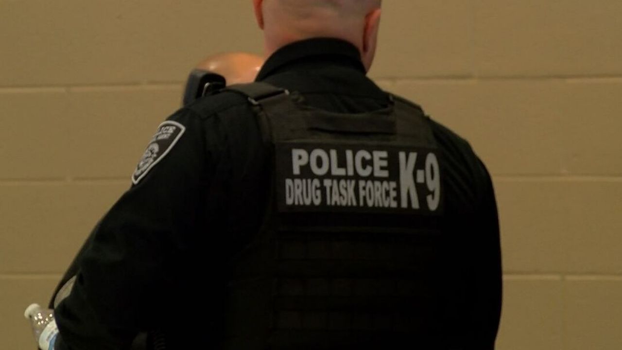 Tennessee Drug Task Force Busts Meth Operation in Brosville — Four Taken Into Custody