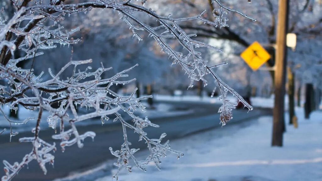 Winter Weather Advisory Expanded Across Southeast Michigan as First Snow Blankets Region (1)