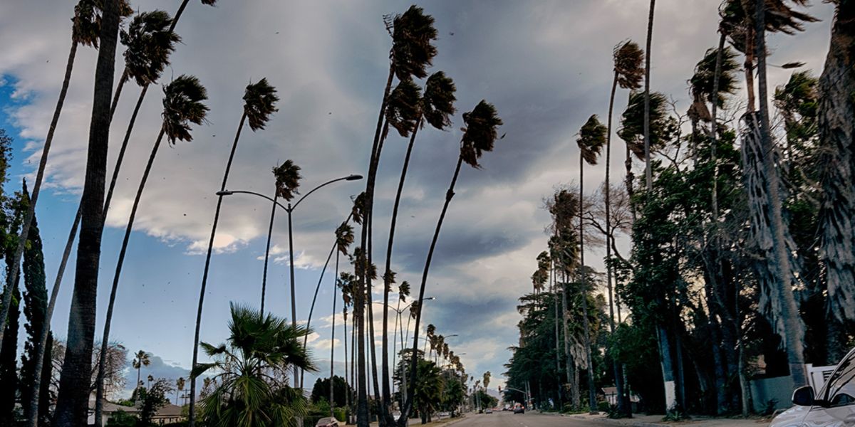 Bitter Cold and Powerful Winds to Grip Southwest California this Week, NWS Warns