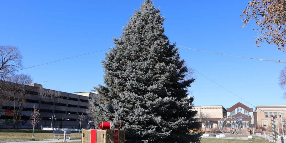 Cedar Rapids Residents Can Expect Mostly Dry Skies and Pleasant Conditions for Holidays