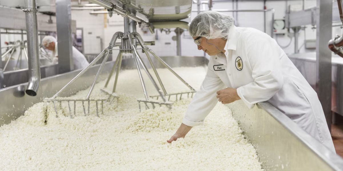 Christmas Cheer 150 Jobs Coming to Rural Wisconsin after Cheese Facility Announces Expansion