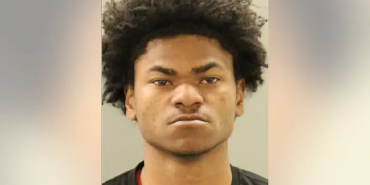 Delaware Police Arrest 21-year-old Who Confessed to Stealing Car the Day after the Theft