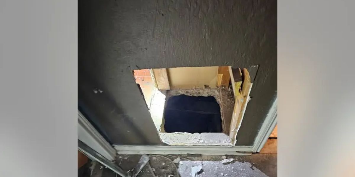 Four Arrested and Tunnels Discovered During South Belt Drug Bust in Houston