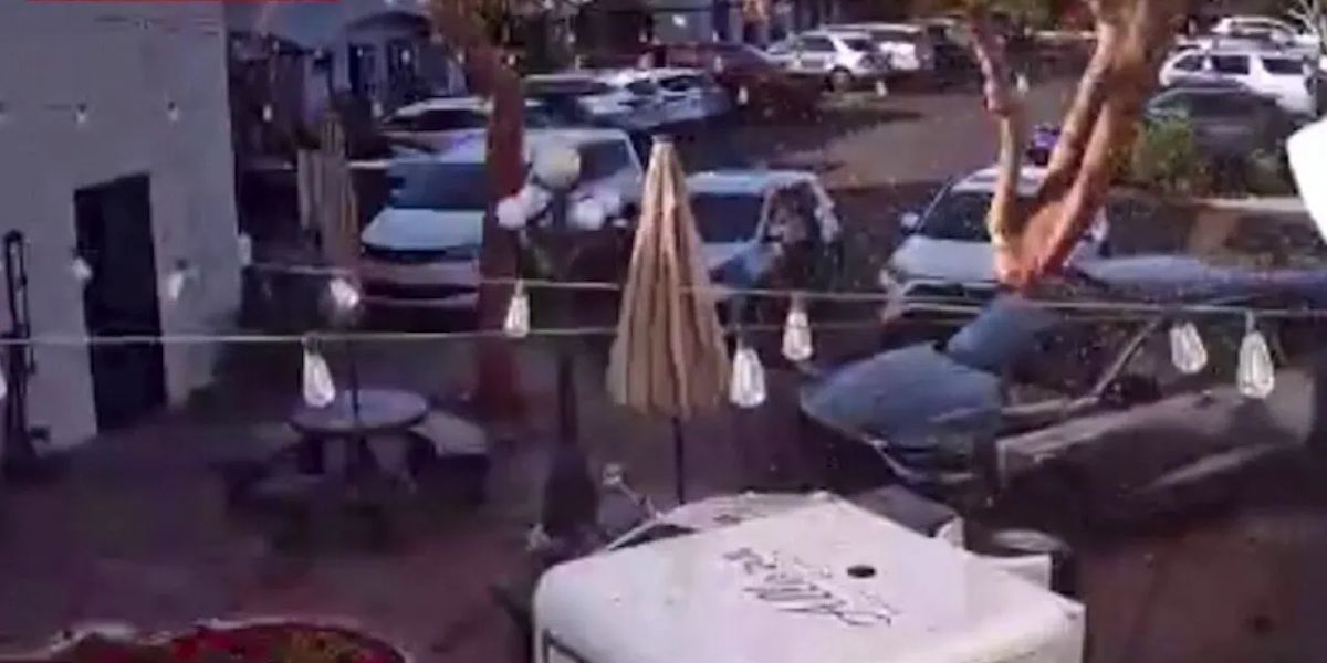 Gelato Shop’s Mobile Cart Crashed by Driver, Thousands in Damages and Bookings Canceled