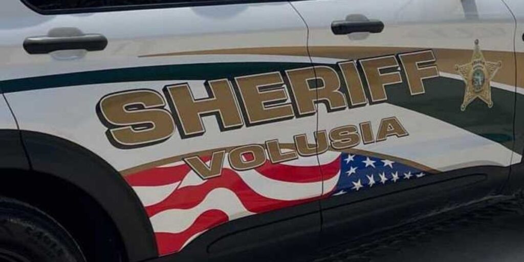 Horse Theft Case Breaks Open in Volusia County as Suspect Arrested, Two Animals Recovered (1)