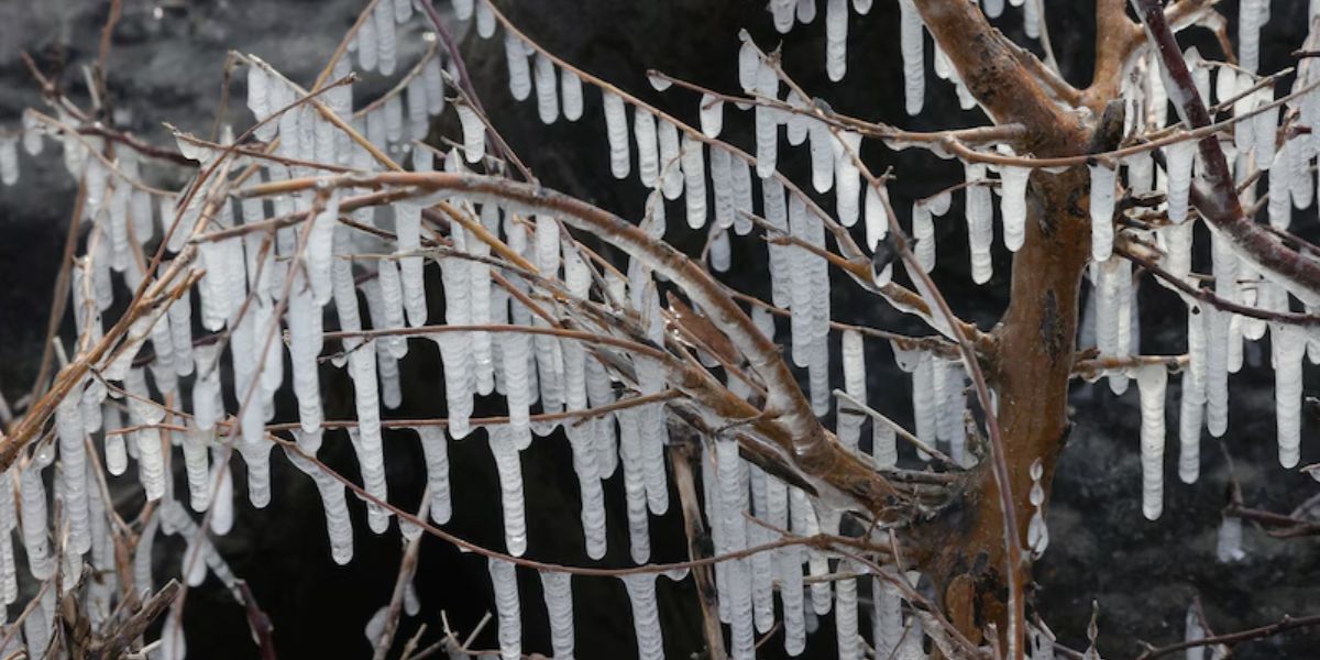 Large Snowflakes Fall Across Northern Ohio as Narrow Snow Band Passes Through Region