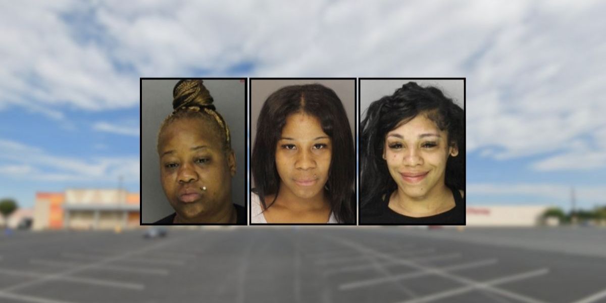Mall Parking Lot Brawl in Camp Hill Leads to Child Endangerment Charges after Infant Thrown from Stroller