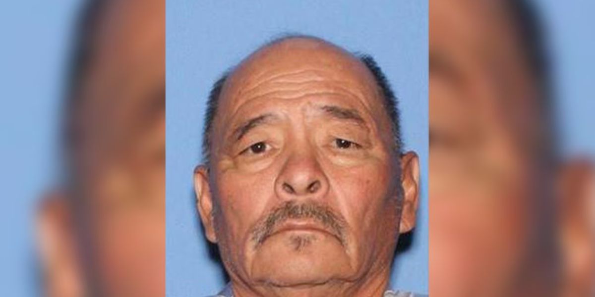 Man Charged with Vehicular Homicide after Child Killed in Kayenta Light Parade Crash