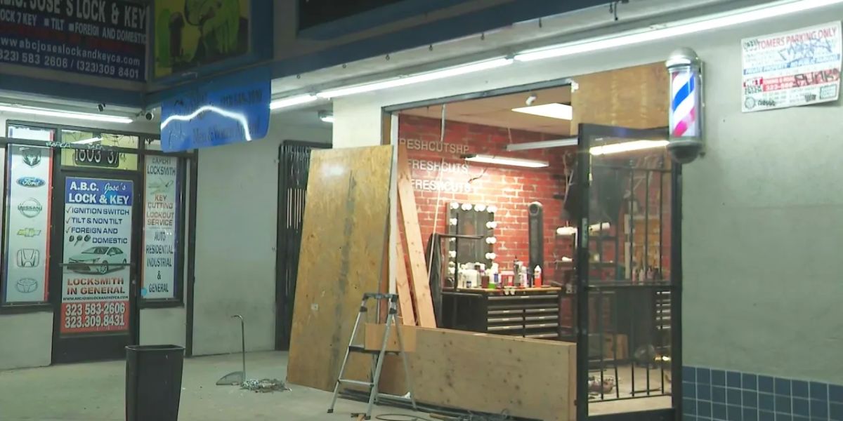 Masked Burglars Smash into South Los Angeles Barbershop, Steal Equipment and Kidnap Pet Cat