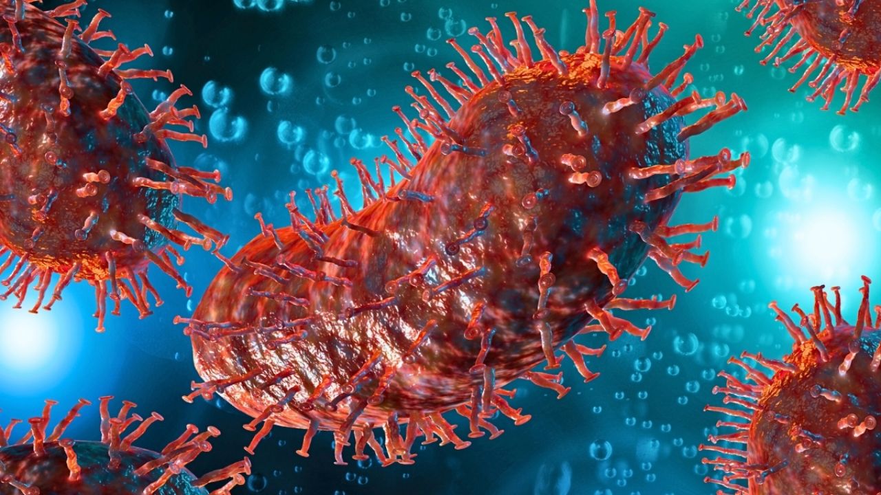 Michigan Patient Dies Weeks After Transplant—Rabies Found in Donor Organ