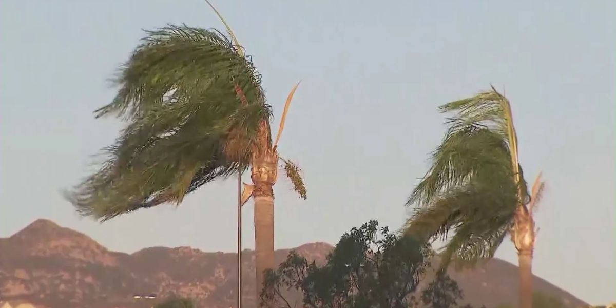Powerful Santa Ana Winds Bring Freezing Mornings, Hazardous Gusts to Southern California
