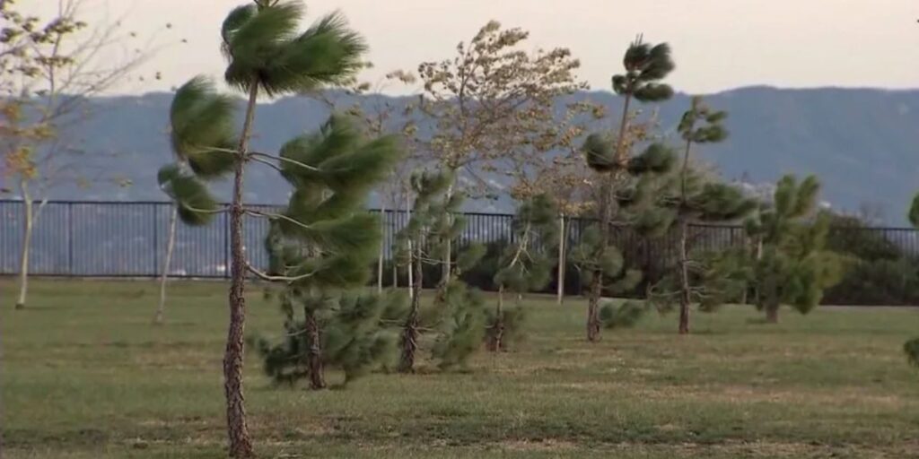 Santa Ana Winds Return to Southern California Ahead of New Year’s Rain (1)