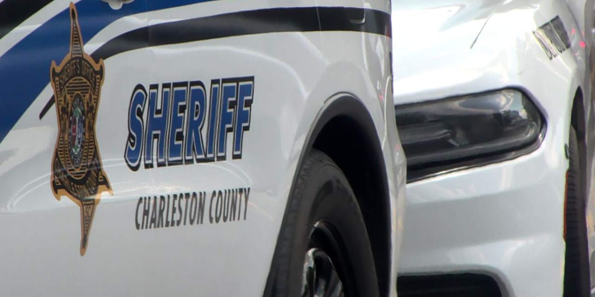 Stolen Vehicle Pursuit Ends in Crash on Highway 17, One Arrested in Charleston County