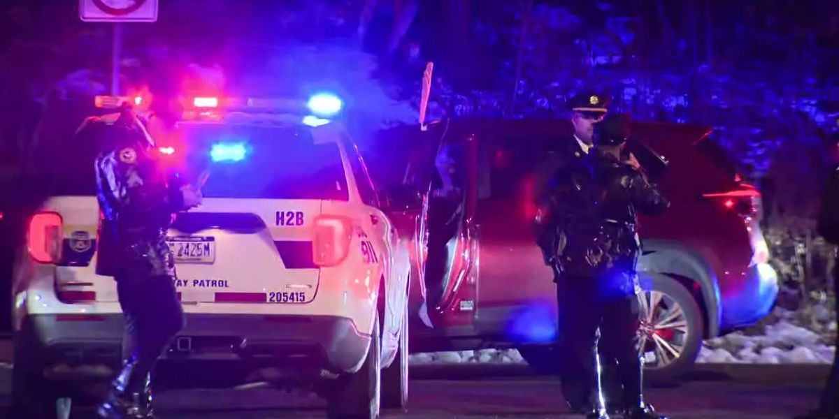 Teen Carjacking in Northeast Philadelphia Leads to Police Chase, Shot Fired in Fairmount Park