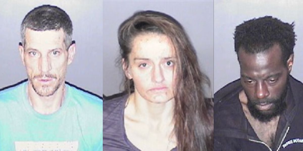 Three Arrested in Auburn after Stolen Vehicle Used in TJ Maxx Shoplifting Incident