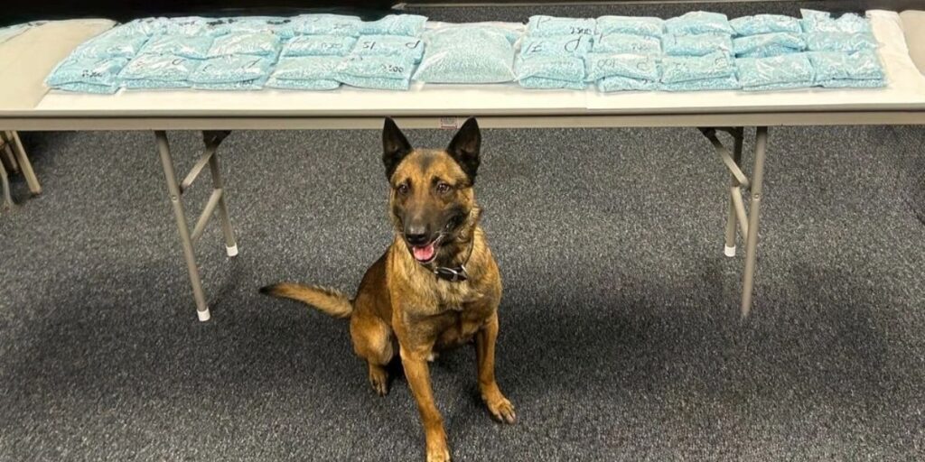 Two Arizona Men Convicted after Wisconsin’s Largest Fentanyl Pill Seizure, Third Remains in Custody (1)