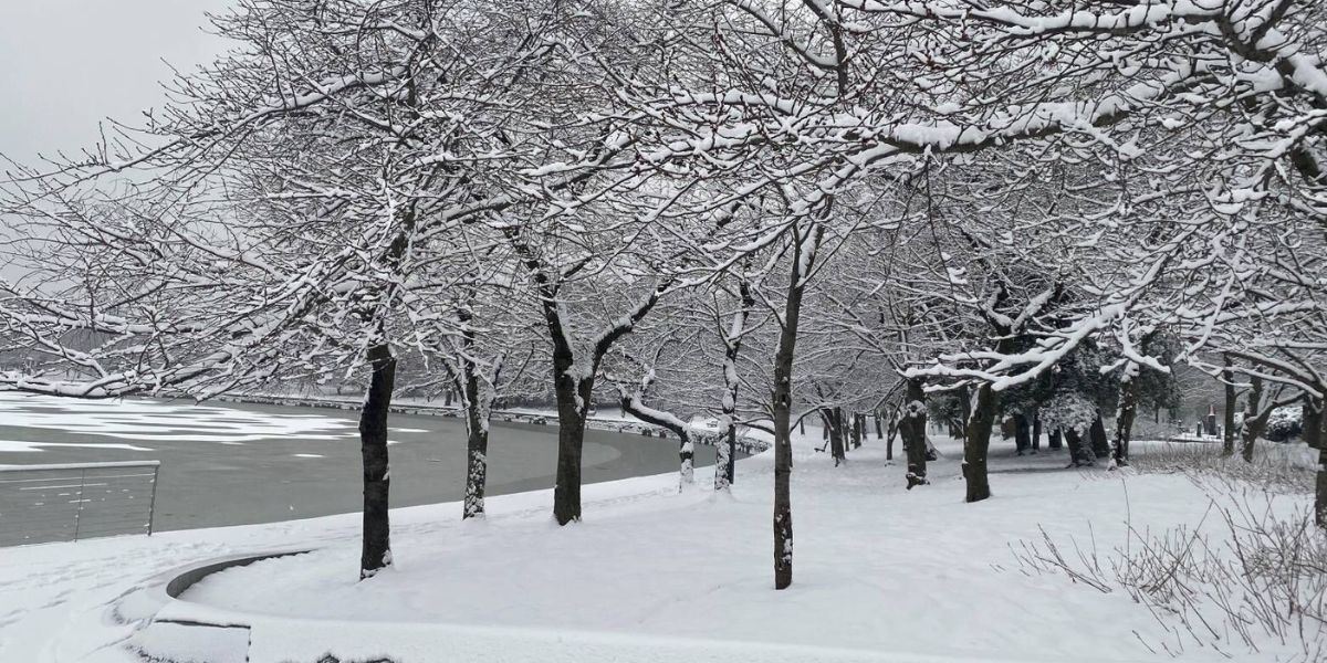Weekend Weather Alert Detroit to See Sunshine, Cold Temps, and Early-Week Snow